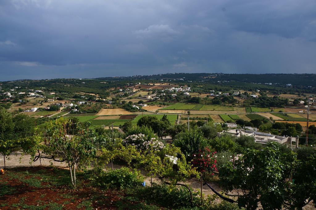 B&B In Fondo Alla Strada 法萨诺 外观 照片